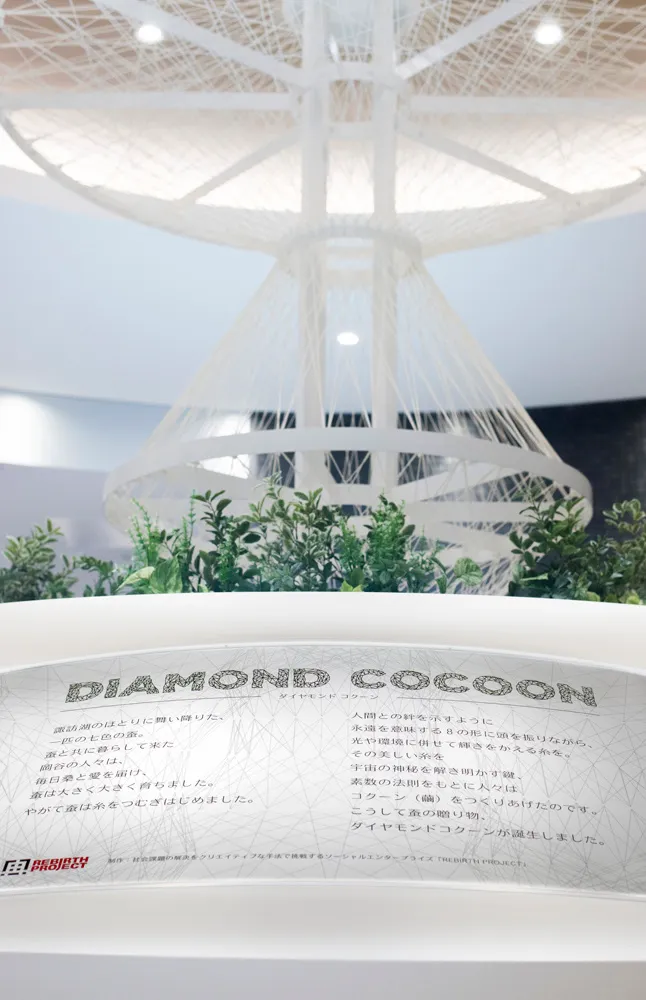 Diamond cocoon 6